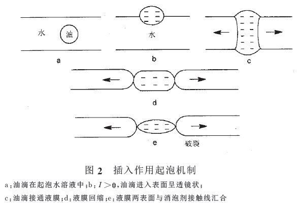 插入作用气泡机制.jpg